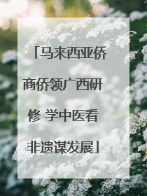 马来西亚侨商侨领广西研修 学中医看非遗谋发展