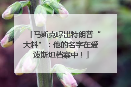 马斯克曝出特朗普“大料”：他的名字在爱泼斯坦档案中！