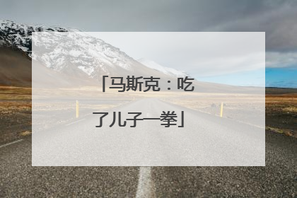 马斯克：吃了儿子一拳