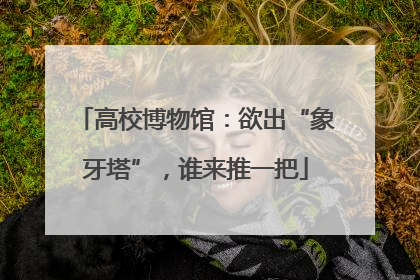 高校博物馆：欲出“象牙塔”，谁来推一把