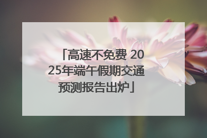 高速不免费 2025年端午假期交通预测报告出炉