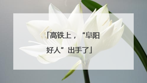 高铁上，“阜阳好人”出手了
