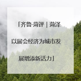 齐鲁·菏评｜菏泽以展会经济为城市发展增添新活力