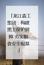 龙江森工集团：构建黑土保护屏障 夯实粮食安全根基