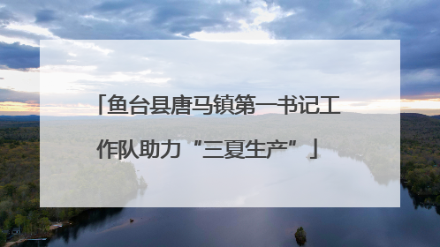 鱼台县唐马镇第一书记工作队助力“三夏生产”