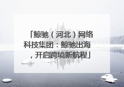 鲸驰（河北）网络科技集团：鲸驰出海，开启跨境新航程