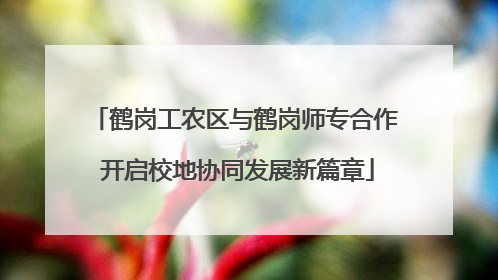 鹤岗工农区与鹤岗师专合作 开启校地协同发展新篇章