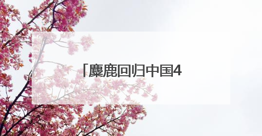 麋鹿回归中国40年 洞庭湖畔上演“鹿王争霸”