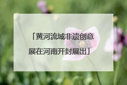 黄河流域非遗创意展在河南开封展出
