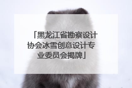 黑龙江省勘察设计协会冰雪创意设计专业委员会揭牌