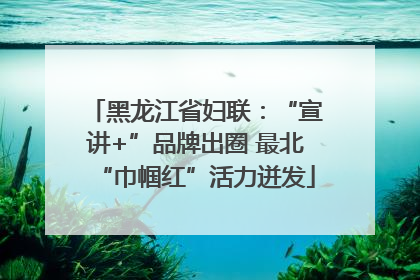 黑龙江省妇联：“宣讲+”品牌出圈 最北“巾帼红”活力迸发