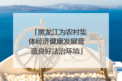 黑龙江为农村集体经济健康发展营造良好法治环境