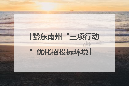 黔东南州“三项行动”优化招投标环境