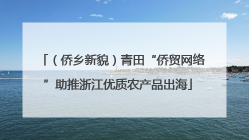 （侨乡新貌）青田“侨贸网络”助推浙江优质农产品出海