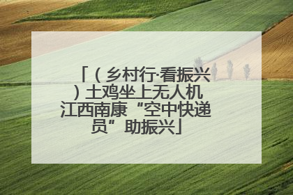 （乡村行·看振兴）土鸡坐上无人机 江西南康“空中快递员”助振兴