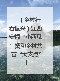 （乡村行·看振兴）江西安福“小西瓜”撬动乡村共富“大支点”