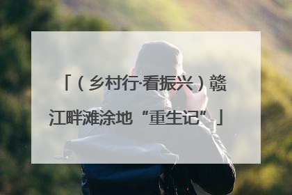 （乡村行·看振兴）赣江畔滩涂地“重生记”
