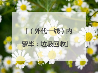 （外代一线）内罗毕：垃圾回收