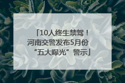 10人终生禁驾！河南交警发布5月份“五大曝光”警示