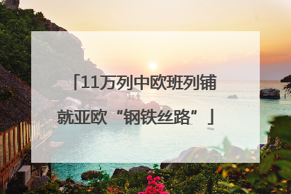 11万列中欧班列铺就亚欧“钢铁丝路”