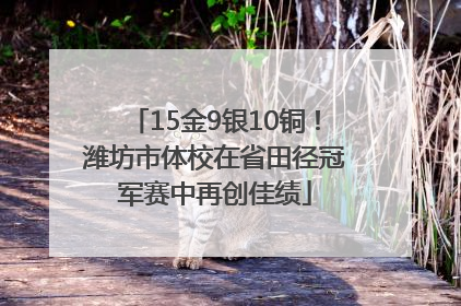15金9银10铜！潍坊市体校在省田径冠军赛中再创佳绩