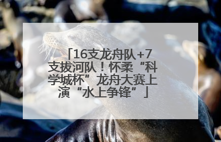 16支龙舟队+7支拔河队！怀柔“科学城杯”龙舟大赛上演“水上争锋”
