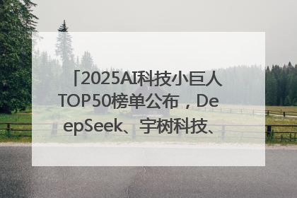 2025AI科技小巨人TOP50榜单公布，DeepSeek、宇树科技、蘑菇车联等企业荣誉上榜