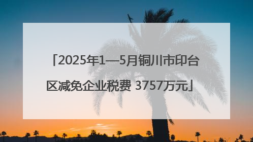 2025年1—5月铜川市印台区减免企业税费 3757万元
