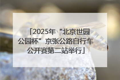 2025年“北京世园公园杯”京张公路自行车公开赛第二站举行