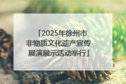 2025年徐州市非物质文化遗产宣传展演展示活动举行