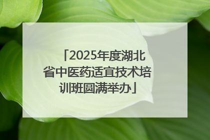2025年度湖北省中医药适宜技术培训班圆满举办