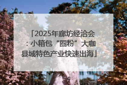 2025年廊坊经洽会：小箱包“圈粉”大咖 县域特色产业快速出海