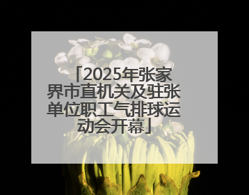 2025年张家界市直机关及驻张单位职工气排球运动会开幕