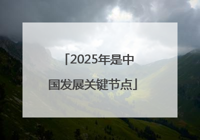 2025年是中国发展关键节点