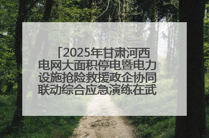 2025年甘肃河西电网大面积停电暨电力设施抢险救援政企协同联动综合应急演练在武威成功举行