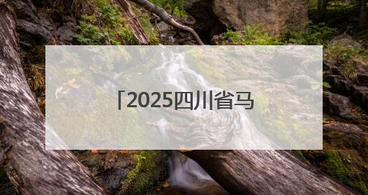 2025四川省马术联赛火热进行