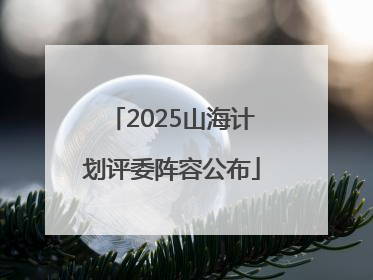 2025山海计划评委阵容公布