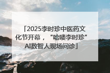 2025李时珍中医药文化节开幕，“哈喽李时珍”AI数智人现场问诊