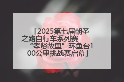 2025第七届朝圣之路自行车系列赛——“孝贤故里”环鱼台100公里挑战赛启幕