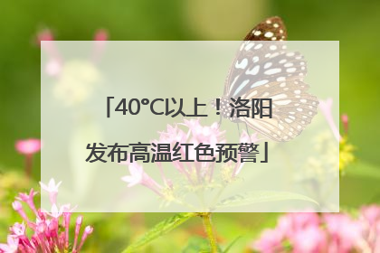 40°C以上！洛阳发布高温红色预警