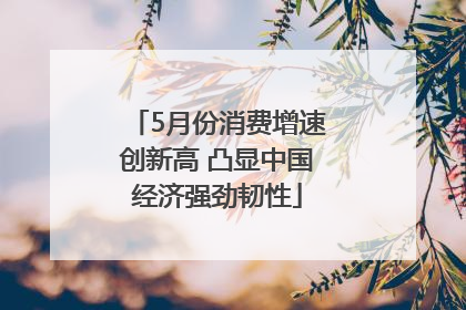 5月份消费增速创新高 凸显中国经济强劲韧性