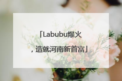 Labubu爆火，造就河南新首富